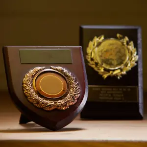 الجوائز واللوحات